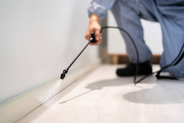 Bed Bug Pre-Treatment Preparation Assessment in Columbus